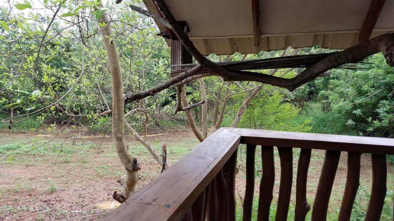 Sigiri Holiday Villa Sigiriya Exteriör bild
