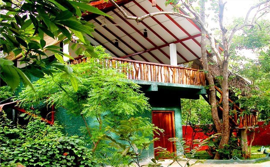 Sigiri Holiday Villa Sigiriya Exteriör bild
