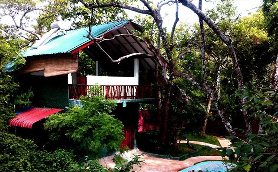 Sigiri Holiday Villa Sigiriya Exteriör bild