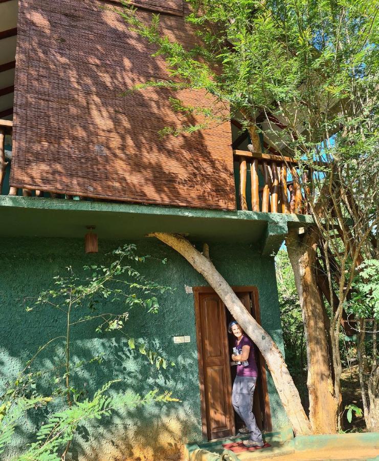 Sigiri Holiday Villa Sigiriya Exteriör bild